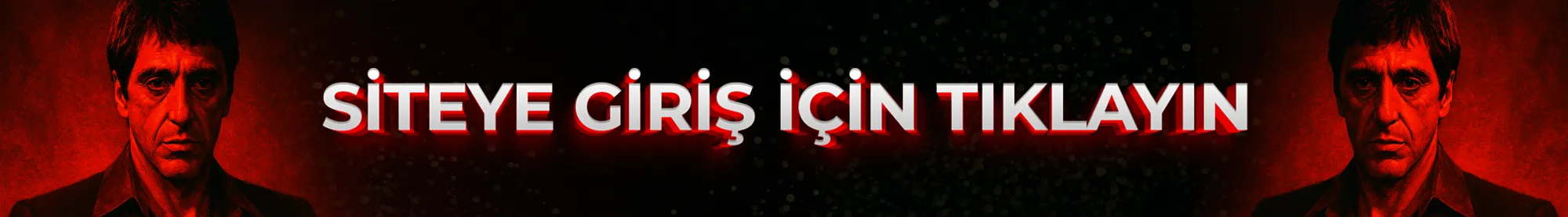 Siteye giriş